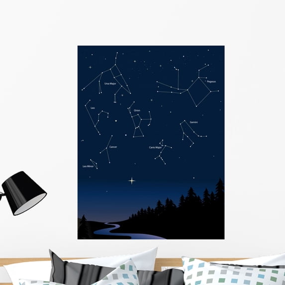 Constellations 1 Wall Mural by Wallmonkeys Peel and Stick Graphic (36 in H x 27 in W) WM113923