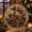 #D, variant on Christmas Pearl Diamond Painting Suncatcher Kit, DIY Craft | Acrylic Round Board with Lace Edge, 3D Pearl Beads Craft, Festive Window Wall Decor