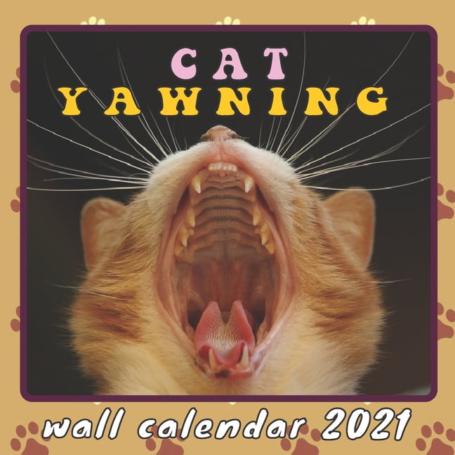 Cat Yawning Wall Calendar 2021 : Sweet & Funny Yawns from Cute ...