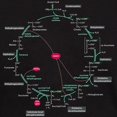 thumbnail image 3 of CafePress - Kreb's Cycle Dark T Shirt - Men's Classic Graphic Cotton T-Shirt, 3 of 4