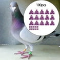 thumbnail image 4 of 100Pcs Pigeon Ring 8mm 2023 2023 Racing Pigeon Dove 2023 Racing Legs Band for Duck Most Adult Birds Poultry Violet, 4 of 6