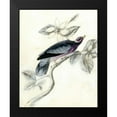 thumbnail image 2 of McCavitt, Naomi 12x14 Black Modern Framed Museum Art Print Titled - Rustic Aviary I, 2 of 5