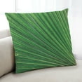 thumbnail image 1 of Ahgly Company Color Focus Green Coussin Décoratif d'Intérieur, 18 Po X 18 Po, 1 of 6