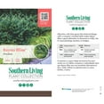 thumbnail image 5 of Southern Living Bayou Bliss Distylium Live Shrub in 2-Gallon Grower Pot, 5 of 9