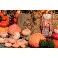 thumbnail image 1 of EREHome Polyester Fabric 7x5ft Halloween Pattern Pumpkins at The Garden Photography Backdrops Indoor Studio Backgrounds Photo Props, 1 of 1