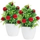 thumbnail image 4 of KAKOWELY 2 piezas de árbol frutal artificial en maceta, bonsái, accesorio decorativo, 4 of 4