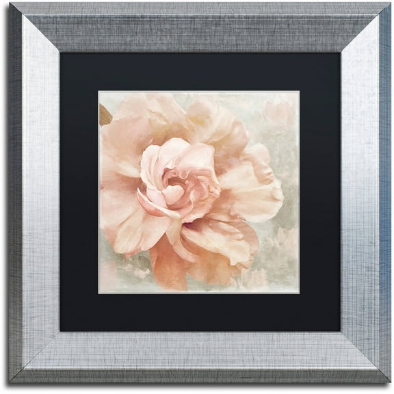 Trademark Fine Art "Petals Impasto I" Canvas Art by Color Bakery Black Matte, Silver Frame