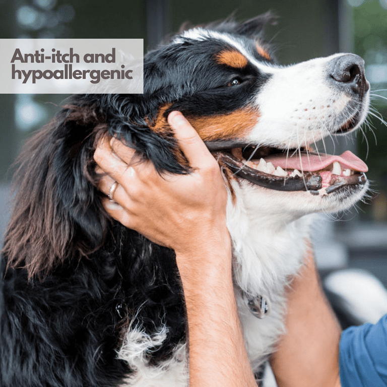 Hypoallergenic dog spray cheap