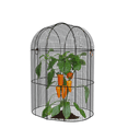 thumbnail image 2 of 3pc Plant Protector Set - Modular 2-Piece Garden Cloche Tunnel with Ground Stakes, Black, 2 of 3