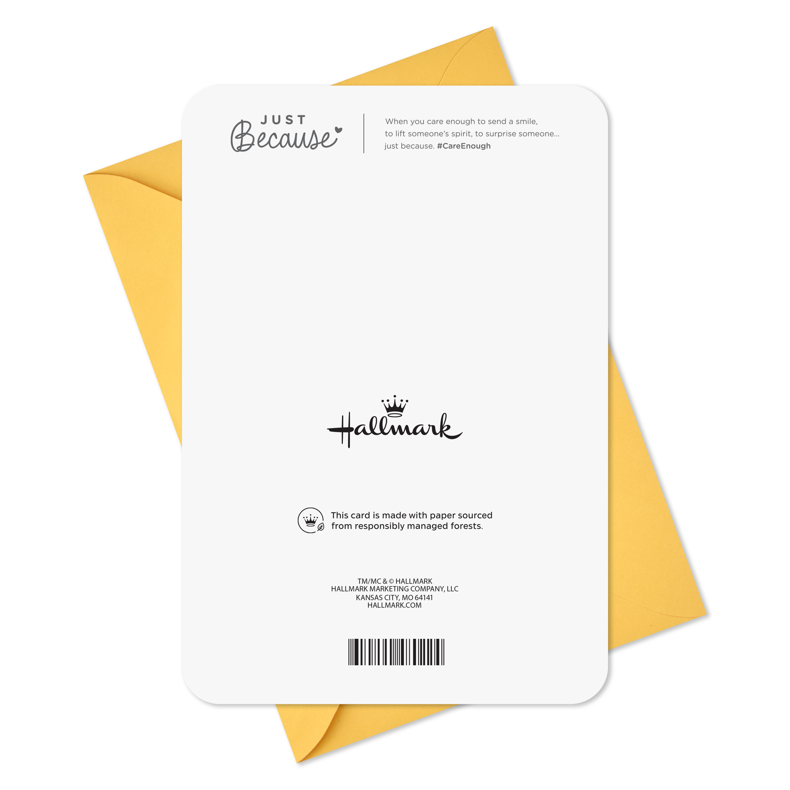 Hallmark Just Because Blank Card (Floral Dove)