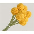 thumbnail image 7 of 30PCS Golden Dry Flowers,Artificial Craspedia Globosa Flowers,Dried Billy Balls,DIY Crafts Floral Arrangements,for Wedding Birthday Party Home Decor, 7 of 7