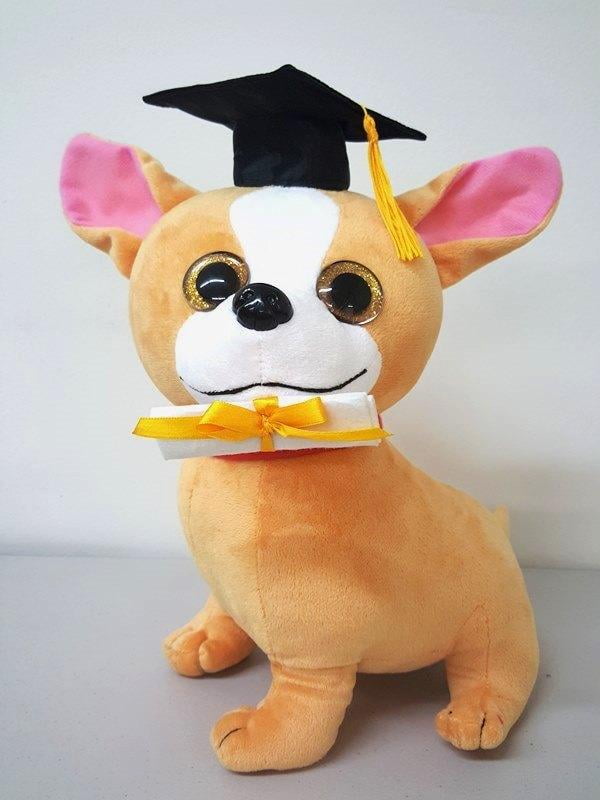graduation puppy plush