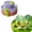 D, variant on Z52LingLing Decoration Flower Bed Miniature for Micro-Landscape - Resin Nature Decor for Terrarium, Garden, Dollhouse, Potted Plant, or Desk