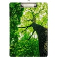 thumbnail image 2 of FMSHPON Tree Forest Clipboard Hardboard Wood Nursing Clip Board and Pull for Standard A4 Letter 13x9 inches, 2 of 7