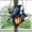 A, variant on Lunxisen 2 Pcs Raven Gothic on Lantern Suncatcher, Ornament Faux Stained Glass Crow on Lamp, Decor for Dark Academia Home(20cm)