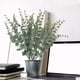 thumbnail image 4 of Las plantas artificiales son adecuadas para la decoración interior del baño, el escritorio del hogar (verde), 4 of 7