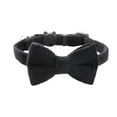 thumbnail image 1 of Cat Soft Velvet With Bow Tie Bell Breakaway Boy Girl Basic Pure Colors Male Female, 1 of 9