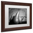 thumbnail image 3 of Trademark Fine Art "Cayendo" Canvas Art by Moises Levy White Matte, Wood Frame, 3 of 5