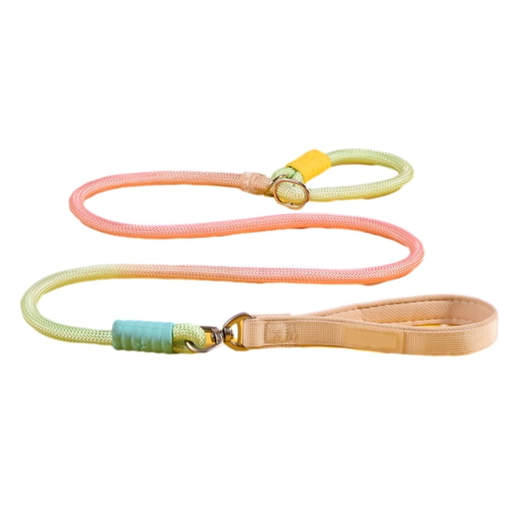 bestolf Slip Lead Dog Leash 5Ft Rope Leash No Pull Pet Training Lead Slip Leash for Large Medium Dogs (Beige L)