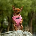 thumbnail image 1 of Arnés de Malla Suave Paso en para Perros/Gatos PupTrek de Mr. Peanut, 1 of 3