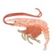 thumbnail image 1 of Juguetes de simulación de Naturaleza Camarones rojos 9.5x9x1.7cm Hugo Niños Ciencia Naturaleza, 1 of 10