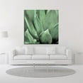 thumbnail image 2 of 14" x 14" Agave 4 by Alan Blaustein - Wall Art Print on Canvas Fabric Green, 2 of 3