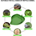 thumbnail image 2 of Juego de 2 cuencos de agua para reptiles: para lagartijas, hámsteres y serpientes, 2 tamaños, 2 of 5