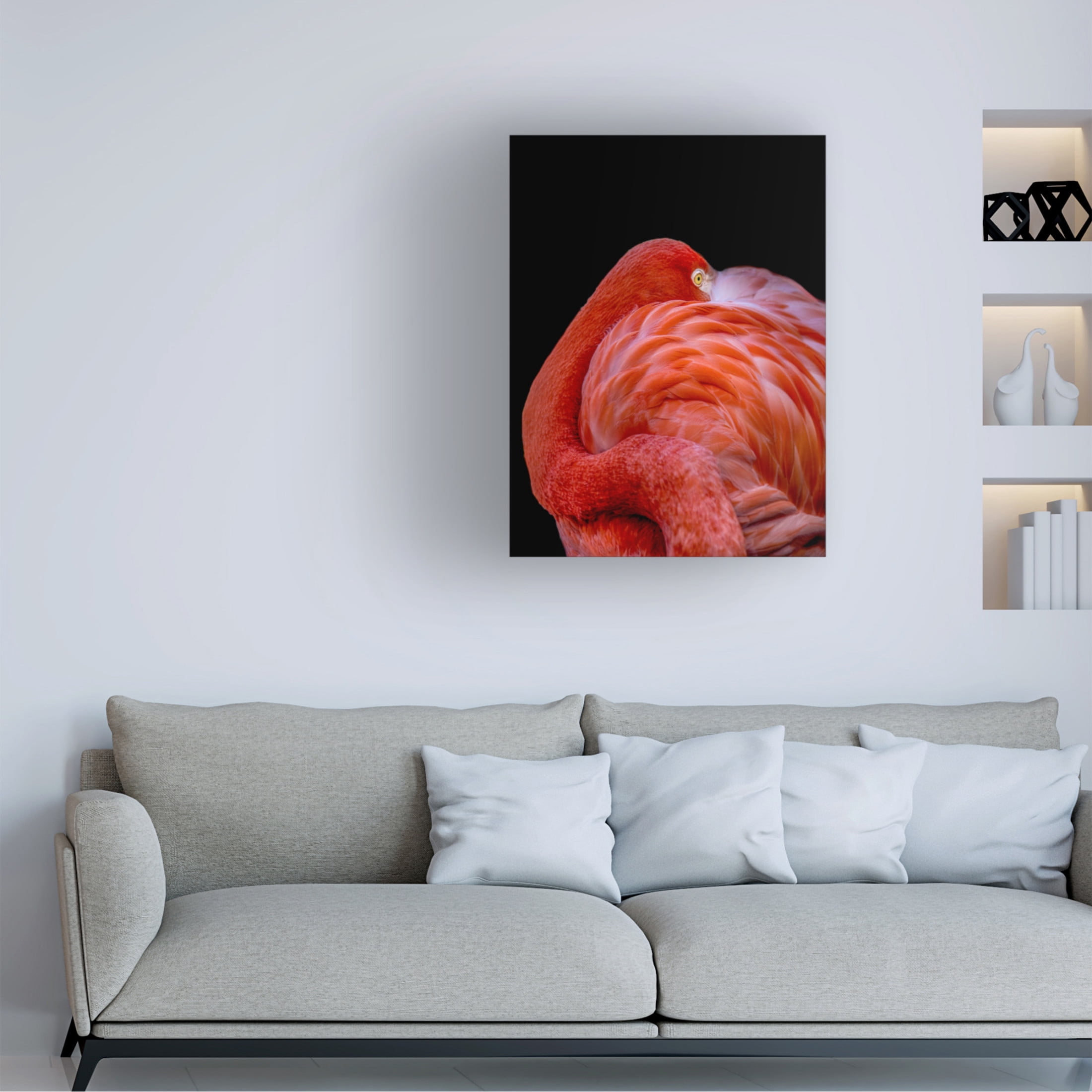 Canvas Wall Art - Chris Coenders 'Flamingo' Wall Art for Living Room, Bedroom, or Office D?cor by Trademark Fine Art - 24 x 32 Inches