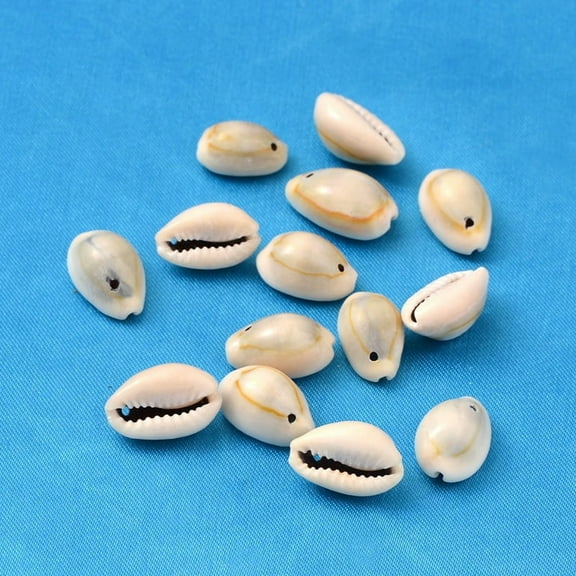 Natural Cowrie Shell Beads Dyed Seashell color Size: 18~20mm long 13~14mm wide 6~8mm thick hole: 2mm