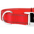 thumbnail image 5 of Country Brook Petz® Premium Blaze Orange Reflective Nylon Dog Collar - Small, 5 of 5