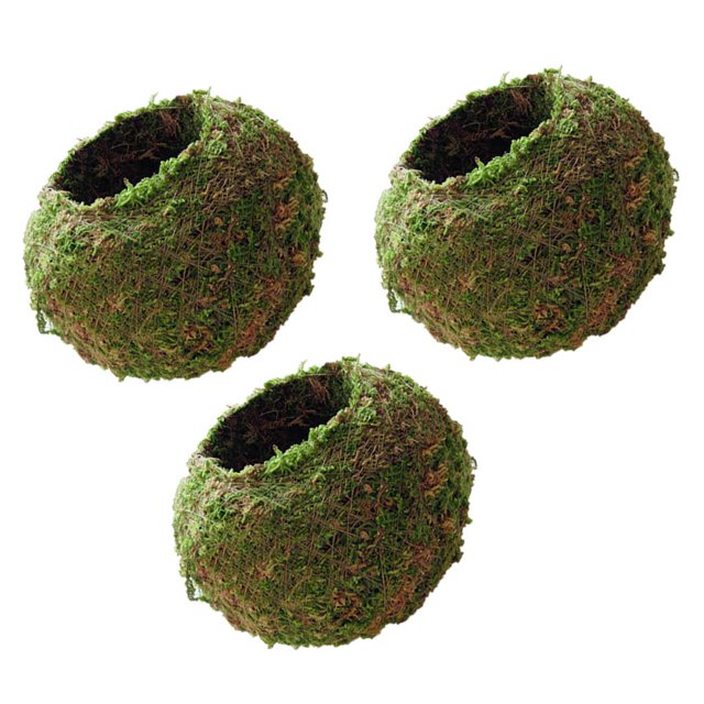 Creativo maceta maceta Bonsai soporte para plantas home and garden 15cm, paquete de 3