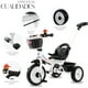 thumbnail image 2 of Triciclo Tipo Carreola Shendy Vendy Portatil Plegable Reclinable 2 En 1, 2 of 8