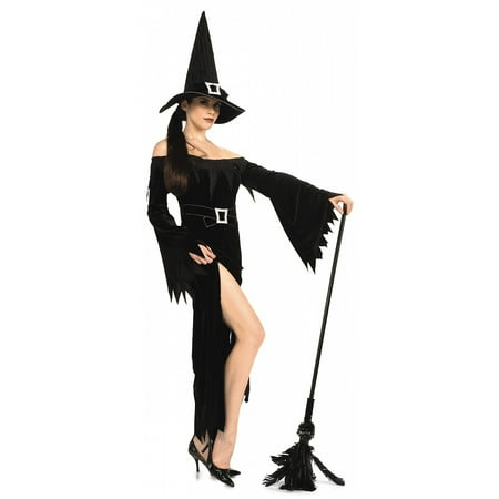 Wicked Witch Adult Costume - Medium