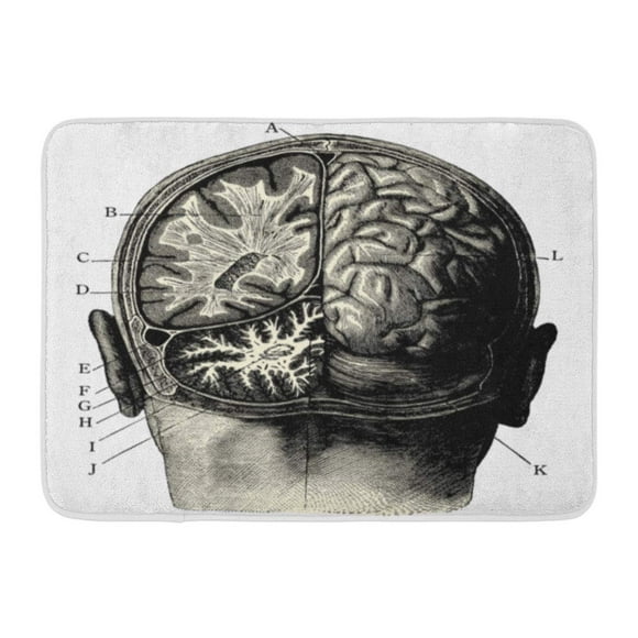 NUDECOR Humain Brain Vintage Engraved Manuel Des Hospitalière Et Garde Malaldes Edited by Librairie Poussielgue Doormat Floor Rug Bath Mat 23.6x15.7 inch