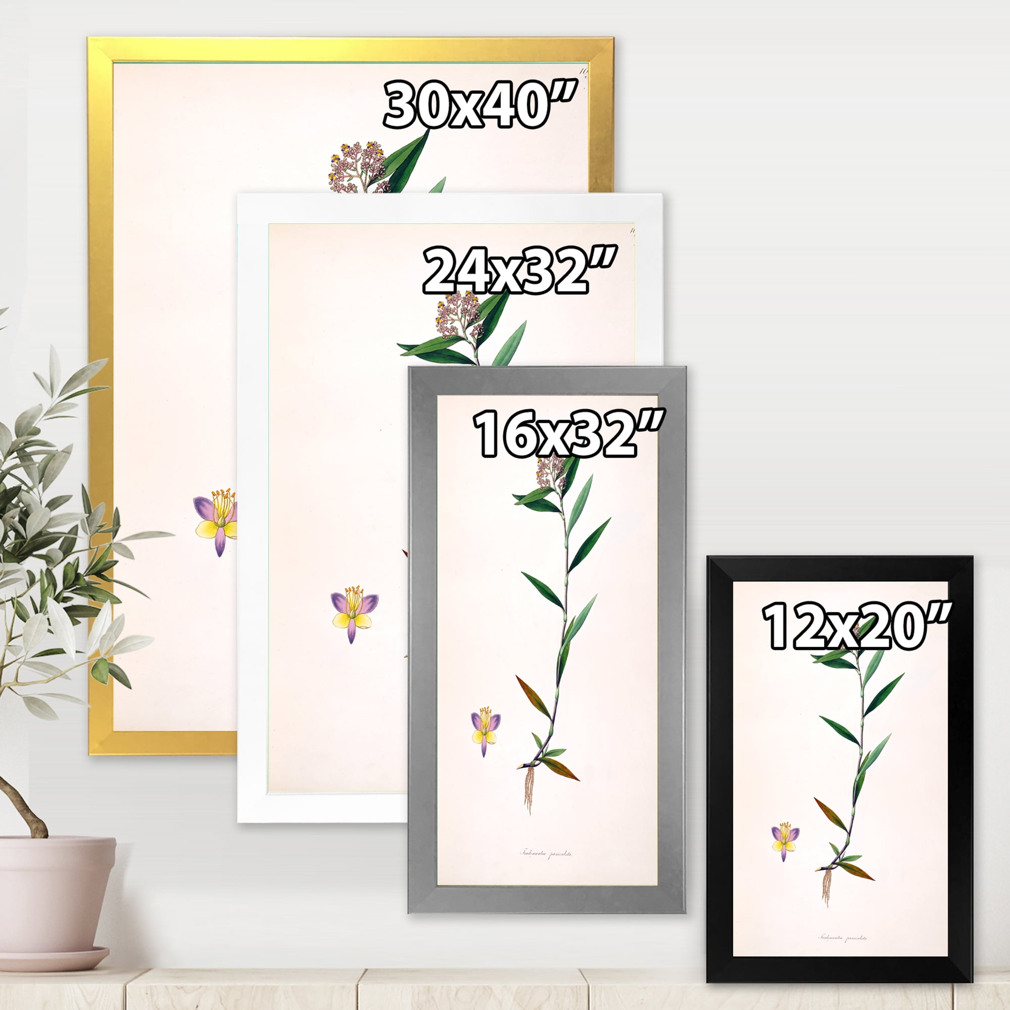 Designart 'Ancient Botanicals XIX' Farmhouse Framed Art Print