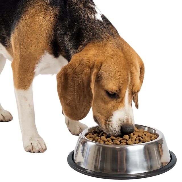 One Paw, Stainless Steel Bowl for Dogs and Cats, Perfect for Food, 950 ml