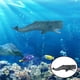 thumbnail image 5 of Figuras de ballenas monstruosas del océano Animales Criatura Tiburón Vida marina Marina Educativa Cachalote A, 5 of 9