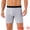 Light Gray, variant on DARING DIVA Men's Lightweight Solid Color Soft Stretch Open-fly Boxer Briefs 28 Black
