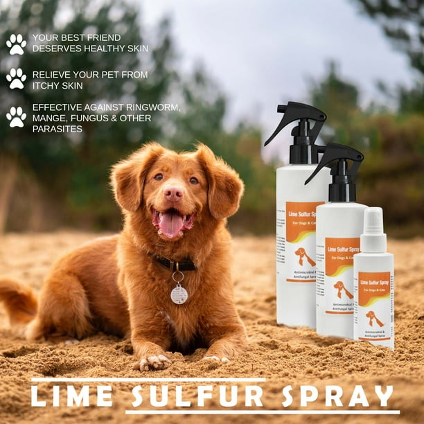 Is Sulfur Water Bad For Dogs