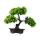 thumbnail image 2 of Bonsái artificial para escritorio de interior, decoración de plantas pequeñas, bonsái verde Pino doble, 2 of 9