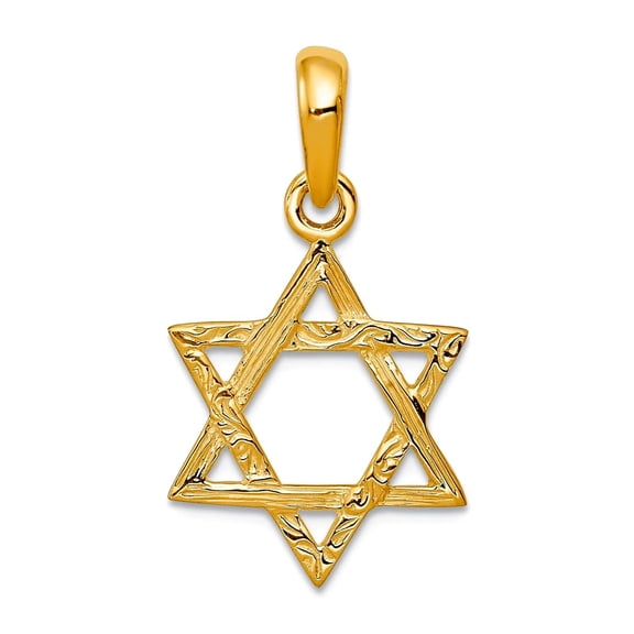 14k Yellow Gold Solid Textured Polished Reversible Religious Judaica Star of David Pendant Necklace 16x14mm Pendant for