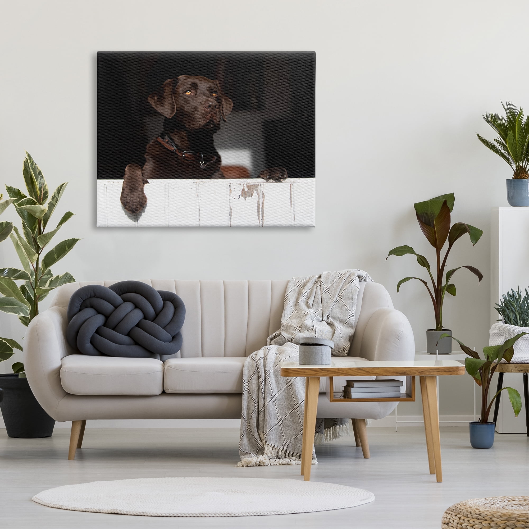 Stupell Industries Labrador Dog Overlooking Farm Leaning Barn Door Photograph Gallery Wrapped Canvas Print Wall Art, Design by James Dobson