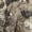 Veil Cervidae, variant on HOT SHOT Men’s Camo Performance Pant – Realtree Edge Hunting Outdoor Apparel, X-Large
