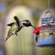 thumbnail image 4 of Hermoso comedero para colibríes Mason Jar con 4 puertos, comedero para colibríes con ventana transparente, alimentación para pájaros pequeños y salvajes, 4 of 5