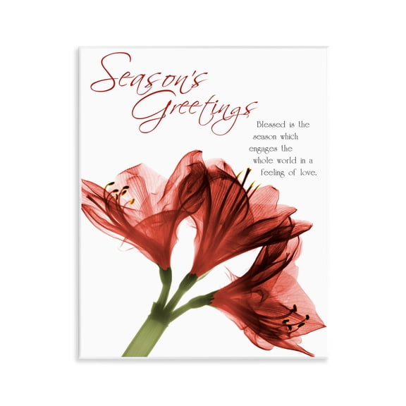 Stupell Industries Season's Greetings Holiday Amaryllis Wall Plaque Art design by Albert Koetsier, 14 x 11