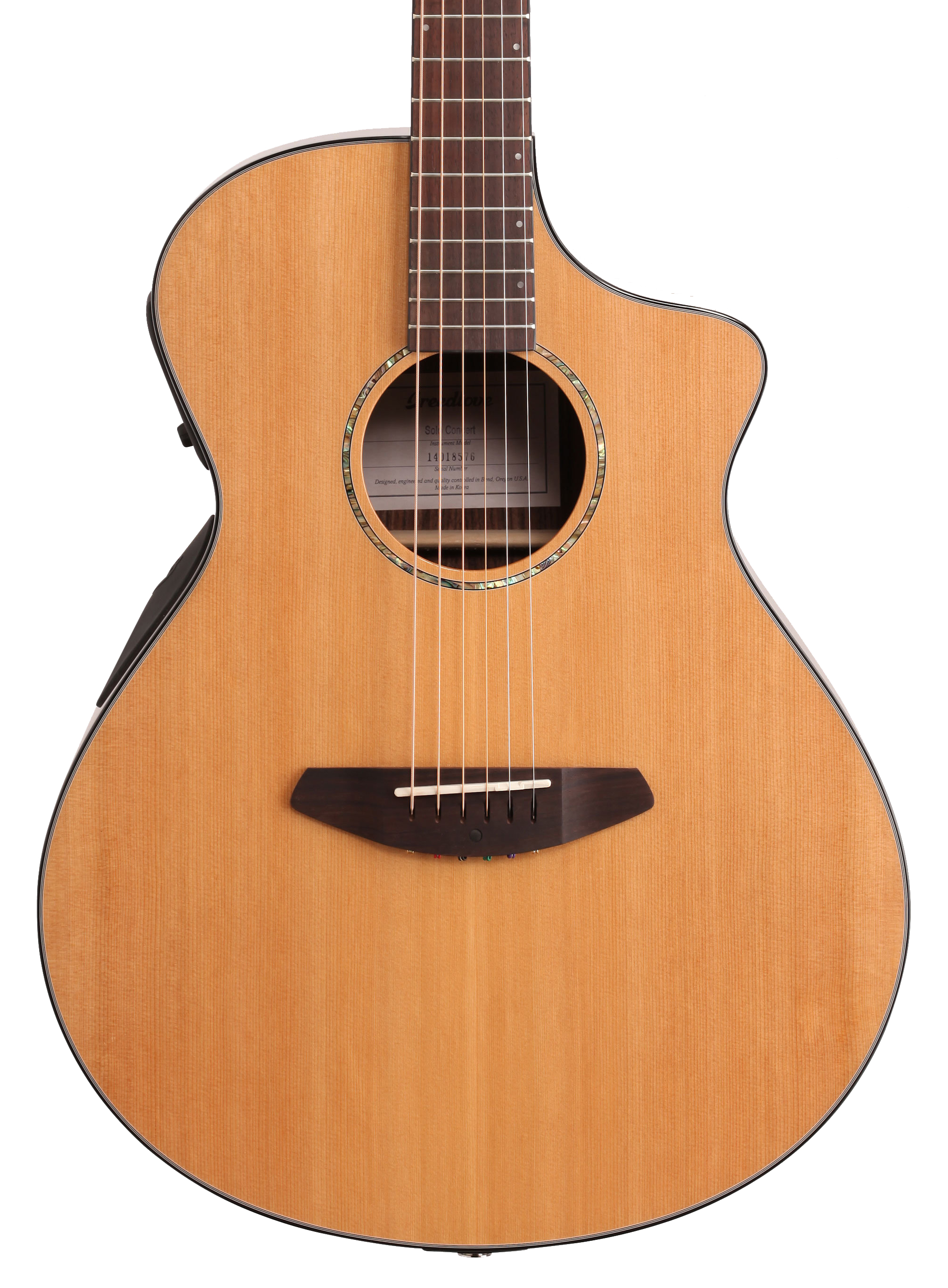 breedlove solo 12 string guitar