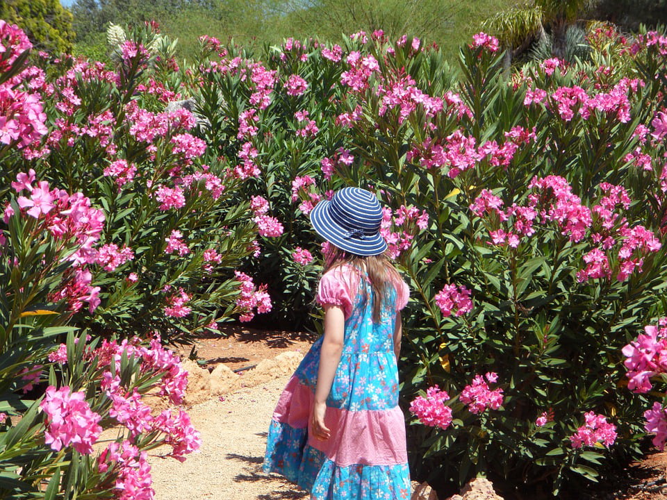 Mediterranean Garden Child Oleander Girl Run 20 Inch By 30 Inch