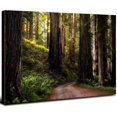 thumbnail image 1 of Arte mural de madera de roble verde, atardecer retro, paisajes naturales y bosques; pintura sobre lienzo de montañas al amanecer; pintura al óleo de bosque iluminado por la luz del sol, 1 of 5