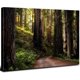 thumbnail image 1 of Arte mural de madera de roble verde, atardecer retro, paisajes naturales y bosques; pintura sobre lienzo de montañas al amanecer; pintura al óleo de bosque iluminado por la luz del sol, 1 of 5