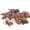 Brown, variant on MaoGoLan 27" Giant Lizard Stuffed Animals 5Pcs with 4 Babies Inside Large Chameleon Plush Toy